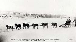 First Dog-Team Used Between Dawson and White Horse