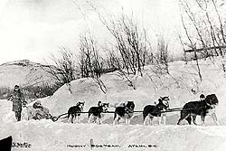 Husky Dog-Team, Atlin, British Columbia, ca. 1909