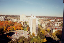 View of Thorncliffe Park from the Bennedsens’ apartment, Autumn 1997.