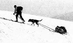 Jackrabbit Johannsen skiing uphill with dog and sled, Lake Placid 1928 