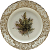 Salad Plate