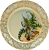 Salad Plate