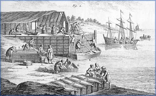 Civilization.ca - Lifelines - The Cod Rush: The European Fishermen,  1497-1763