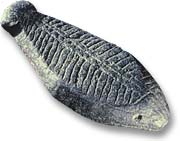 Stone Fish Effigy - New Brunswick Museum - 
Photograph: David Keenlyside