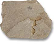 Stone Projectile Point - 
DeBd-1:1849 - CD98-8-086