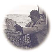 Mi'kmaq Commercial Fisherman - 
Photograph: Steve McMurray