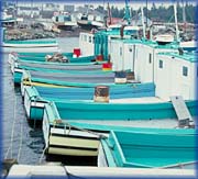 Fibreglass Cape Island Boats - 
Photograph: David Walker