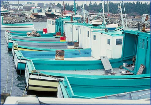 Civilization.ca - Lifelines - Nova Scotia Motor Fishing Boats