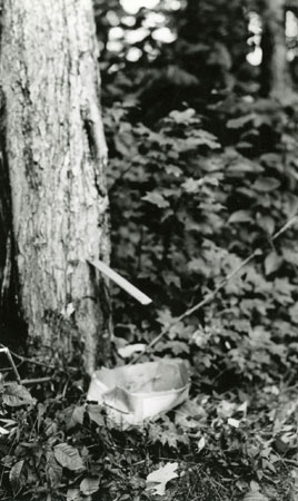 Gouterelle en bois pour canaliser l'eau d'érable vers un cassot d'écorce de bouleau, 1936., © MCC/CMC, Marius Barbeau, 80943