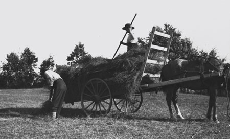 A man and a woman loading hay on a hay wagon, Cap-aux-Os, Québec, 1922., © CMC/MCC, Marius Barbeau, 57293