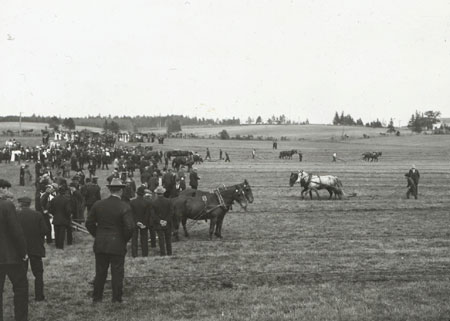 Ploughing match in Saint John, New Brunswick, [19--]., © CMC/MCC, 41.17 LS