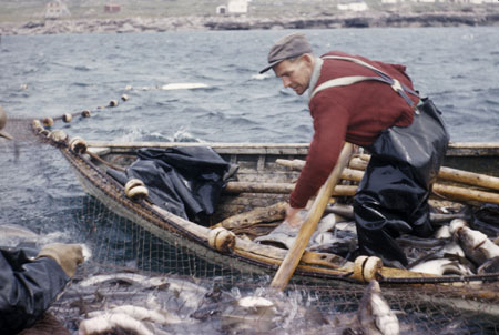 Pêcheur manipulant un filet de pêche, [19--], © MCC/CMC, S2004-1135