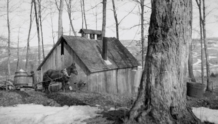 Man with horse and cart beside a sugarhouse, Québec, 1926., © CMC/MCC, Frank Oliver Call, PR2002-9