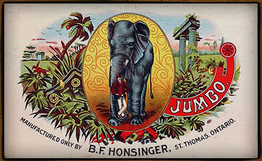 Cigar box,  JUMBO