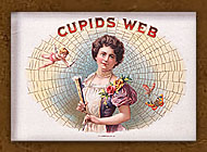 CUPID'S WEB