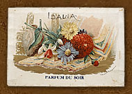 DALIA  PARFUM DU SOIR