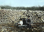 Manitoba still has abundant supplies of firewood in many areas., © CMC/MCC, M.2.1.1 LS