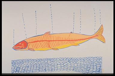 print, Dream Fish  Canadian Museum of History