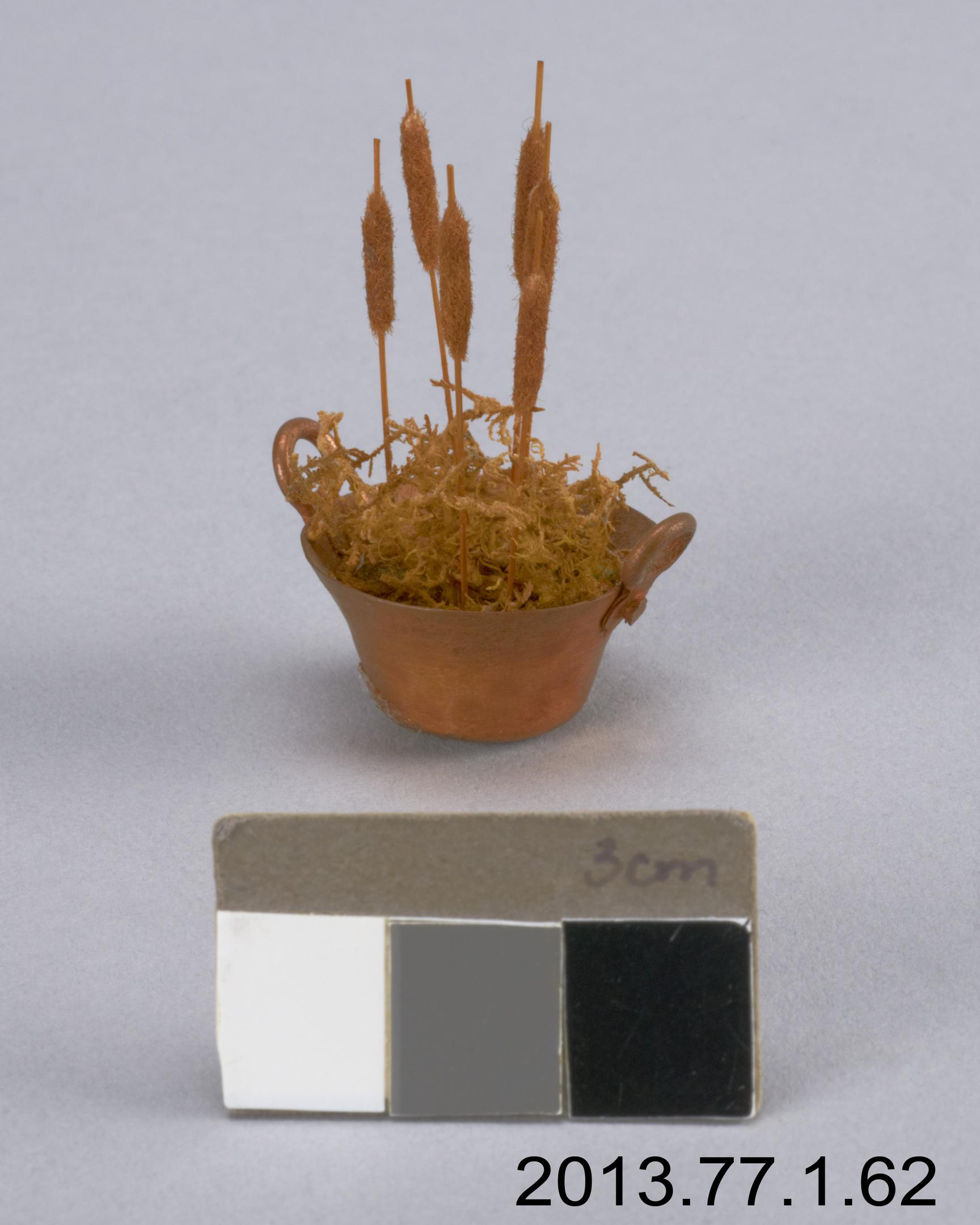 artificial plant by Lepofsky, Joan