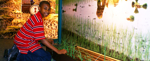 A boy playing with grass in a museum located in Tahiti.