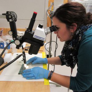 A woman examines an artifact.