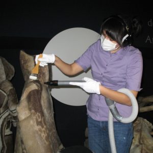 A woman cleaning a parka