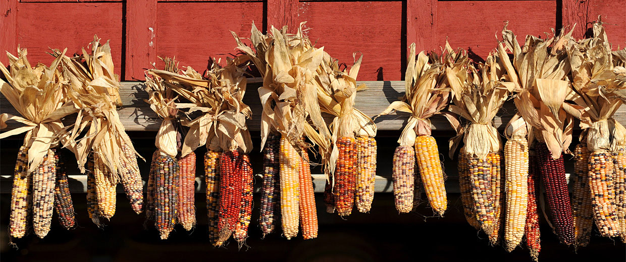 Handmade Fun Corn Husk Dolls Canadian Museum of History