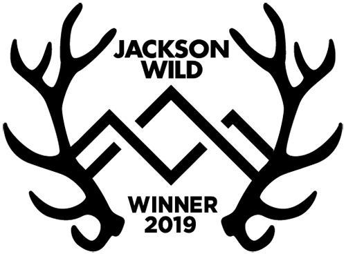 Logo - Jackson Wild - Winner 2019