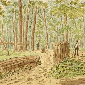 Men working in the forest