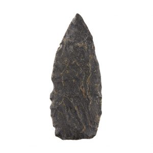 Projectile point