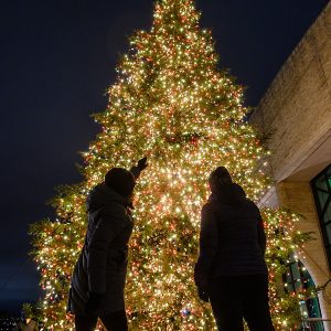 Two women looking up at the Christmas tree
