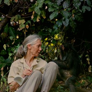 A woman and a chimpanzee