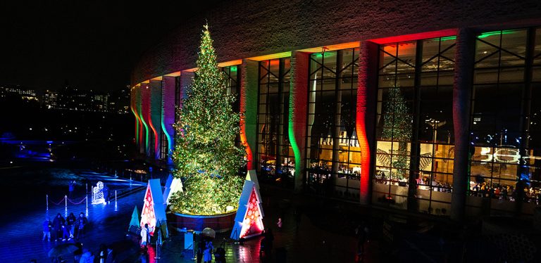 X Mus Treee Museum’s dazzling outdoor tree | Canadian Museum of History