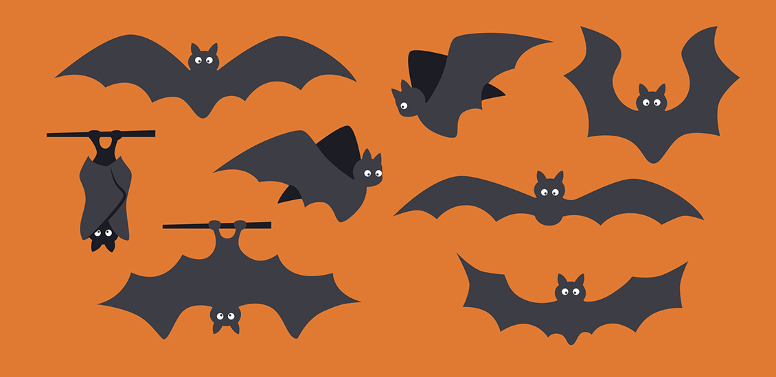 Black bats
