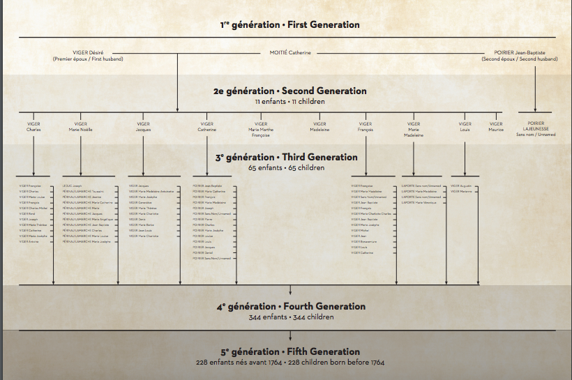 Arbre généalogique en tons sépia montrant six générations.