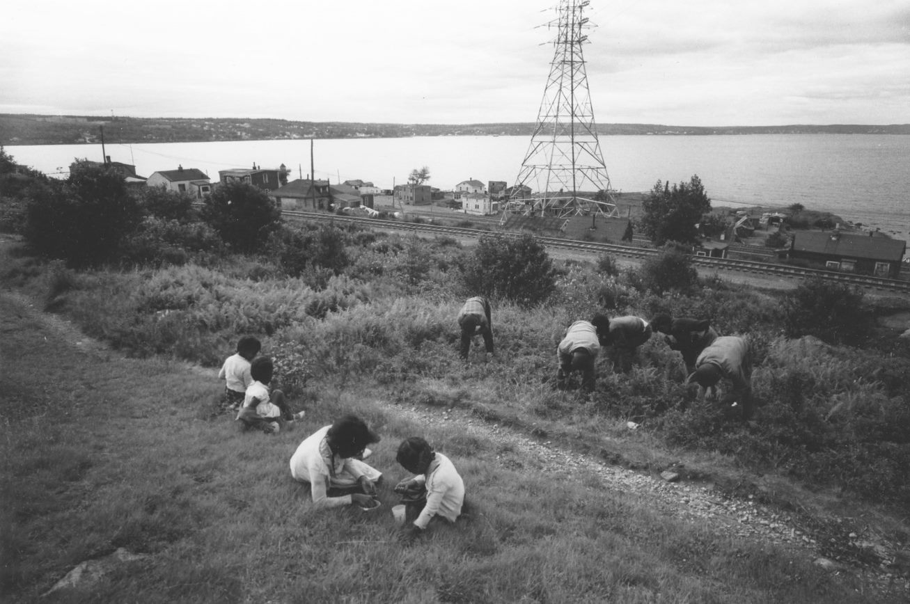 Black-and-white photograph of a group of children picking blueberries on a hillside. - Une photographie en noir et blanc d’un groupe d’enfants cueillant des bleuets sur une colline.